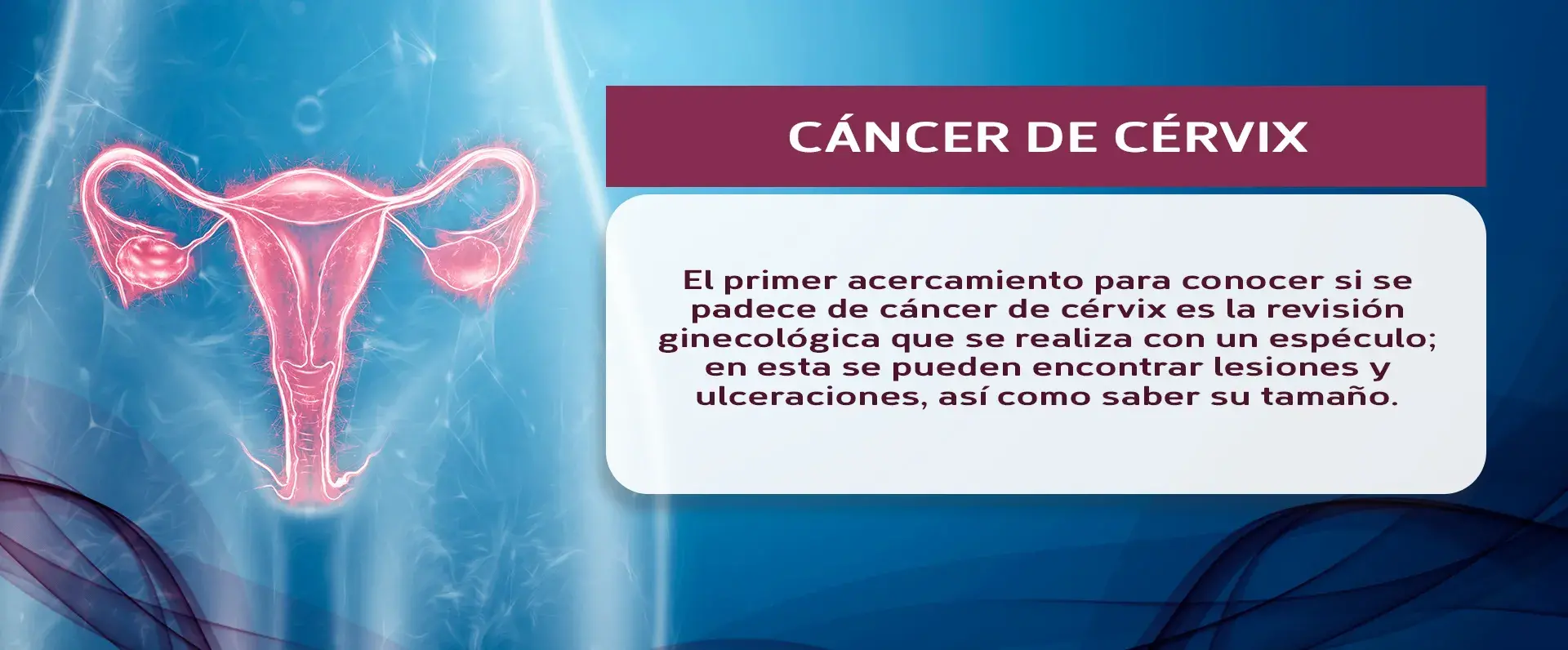 Revisiones ginecológicas Las revisiones ginecológicas sirven para encontrar lesiones y ulceraciones