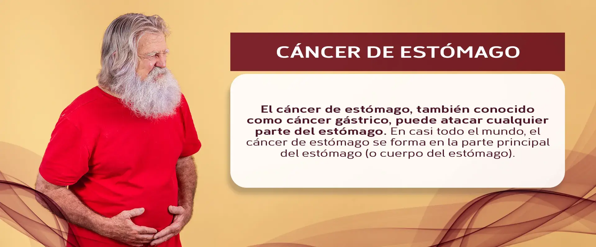 zona del cáncer de estómago El cáncer de estómago se desarrolla en varias zonas del estómago, especialmente en la parte principal