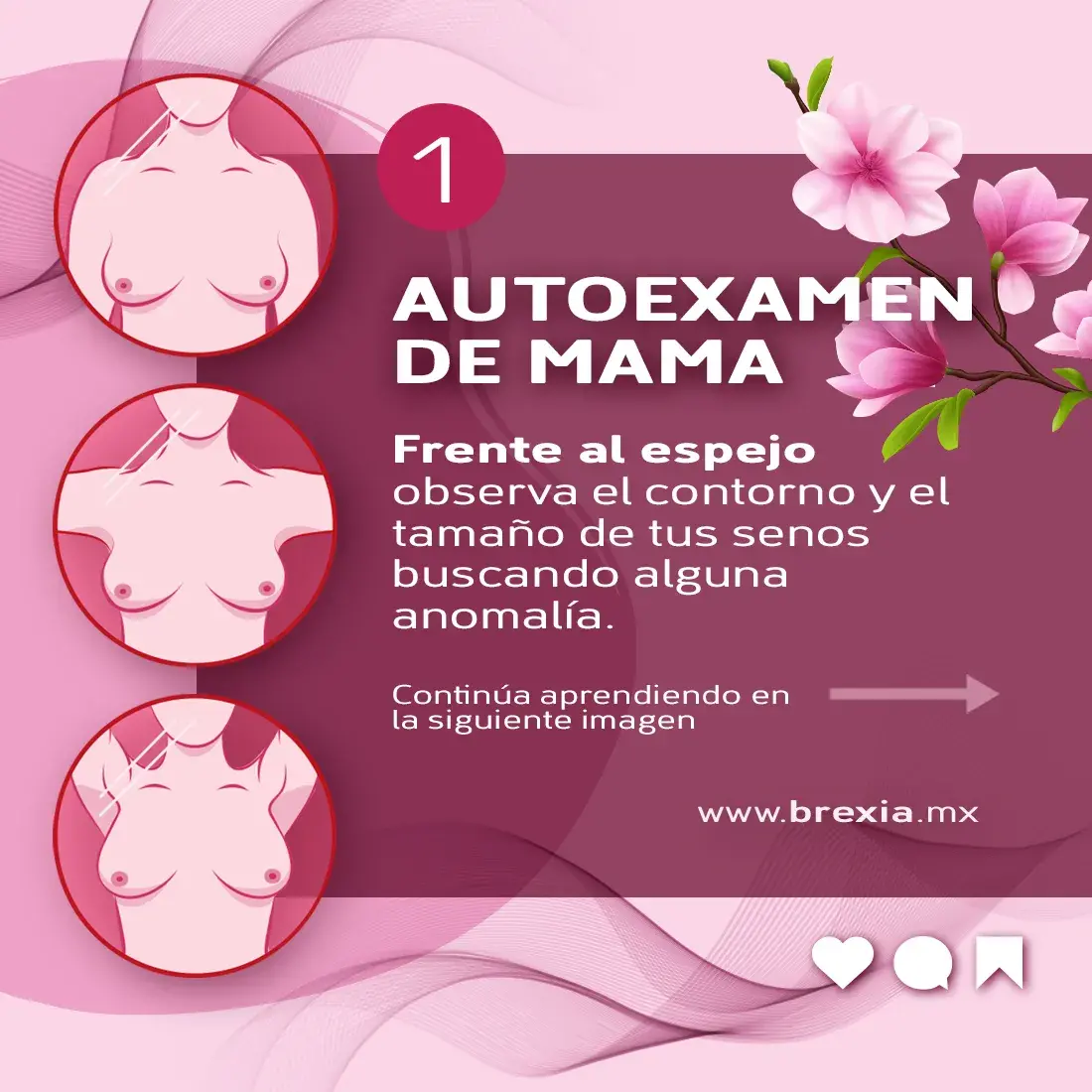 Observación frente al espejo de las mamas Observación frente al espejo de las mamas