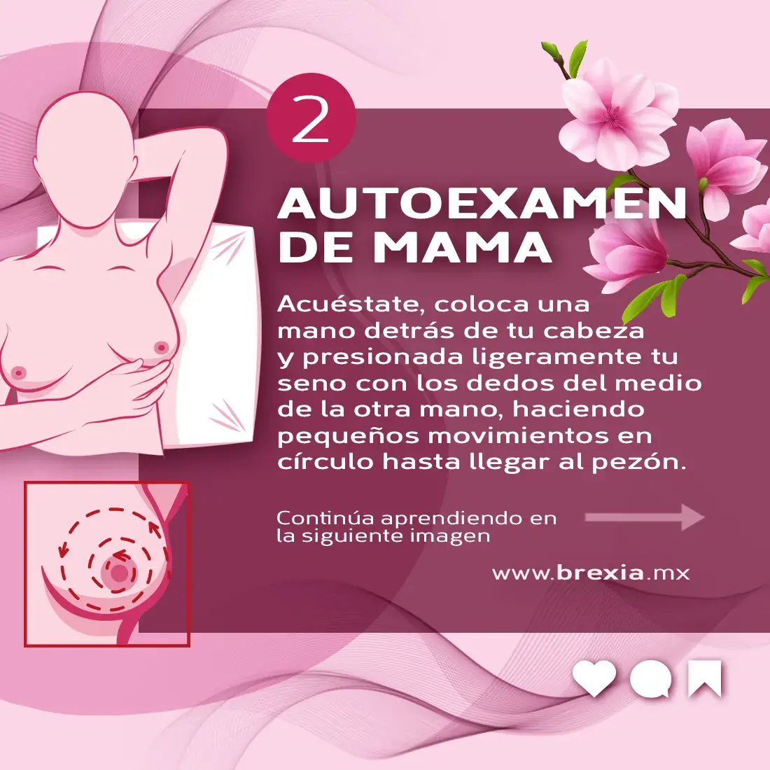 Autoexploración de mama mediante de palpaciones en el seno Autoexploración de mama mediante de palpaciones en el seno