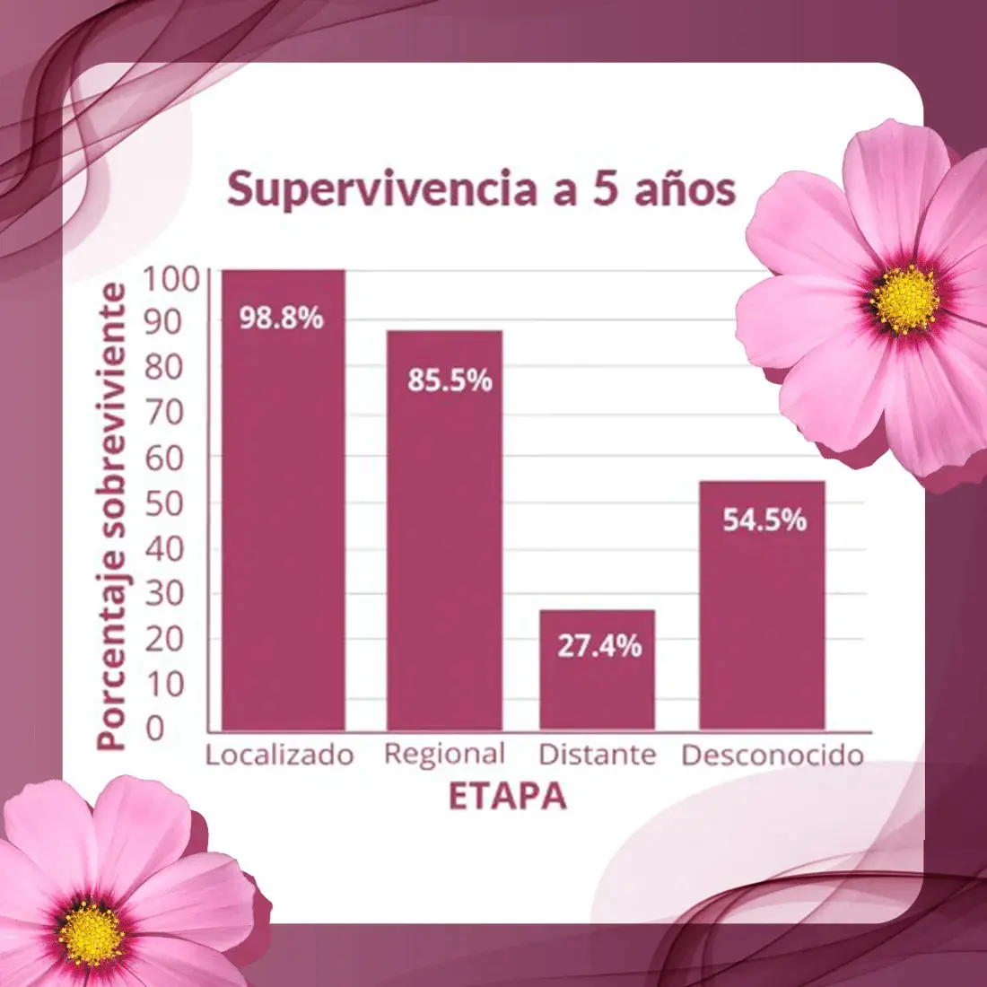 Supervivencia a 5 años La supervivencia a 5 años depende de la etapa en la que se dio el diagnóstico del cáncer de mama (localizado, regional, distante, desconocido).