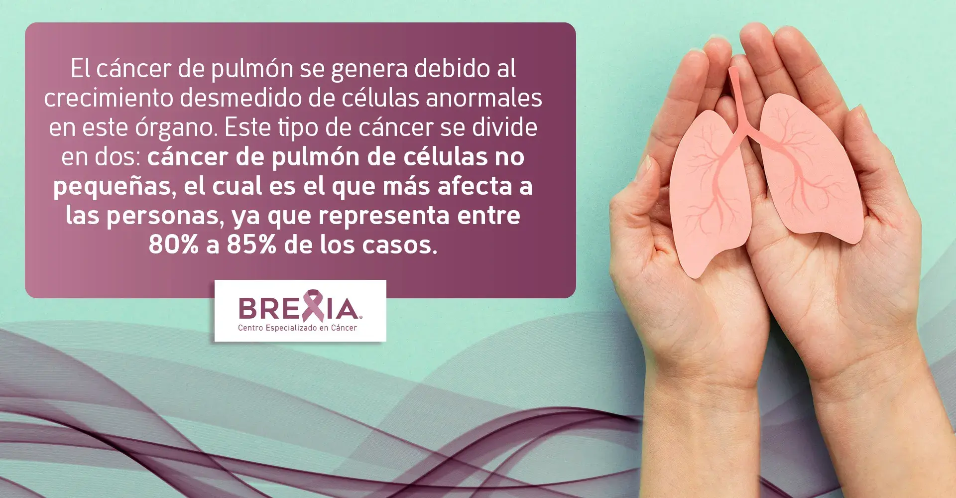 tipos de cáncer de pulmón Existen dos tipos de cáncer de pulmón, el que más afecta a las personas es el de células no pequeñas