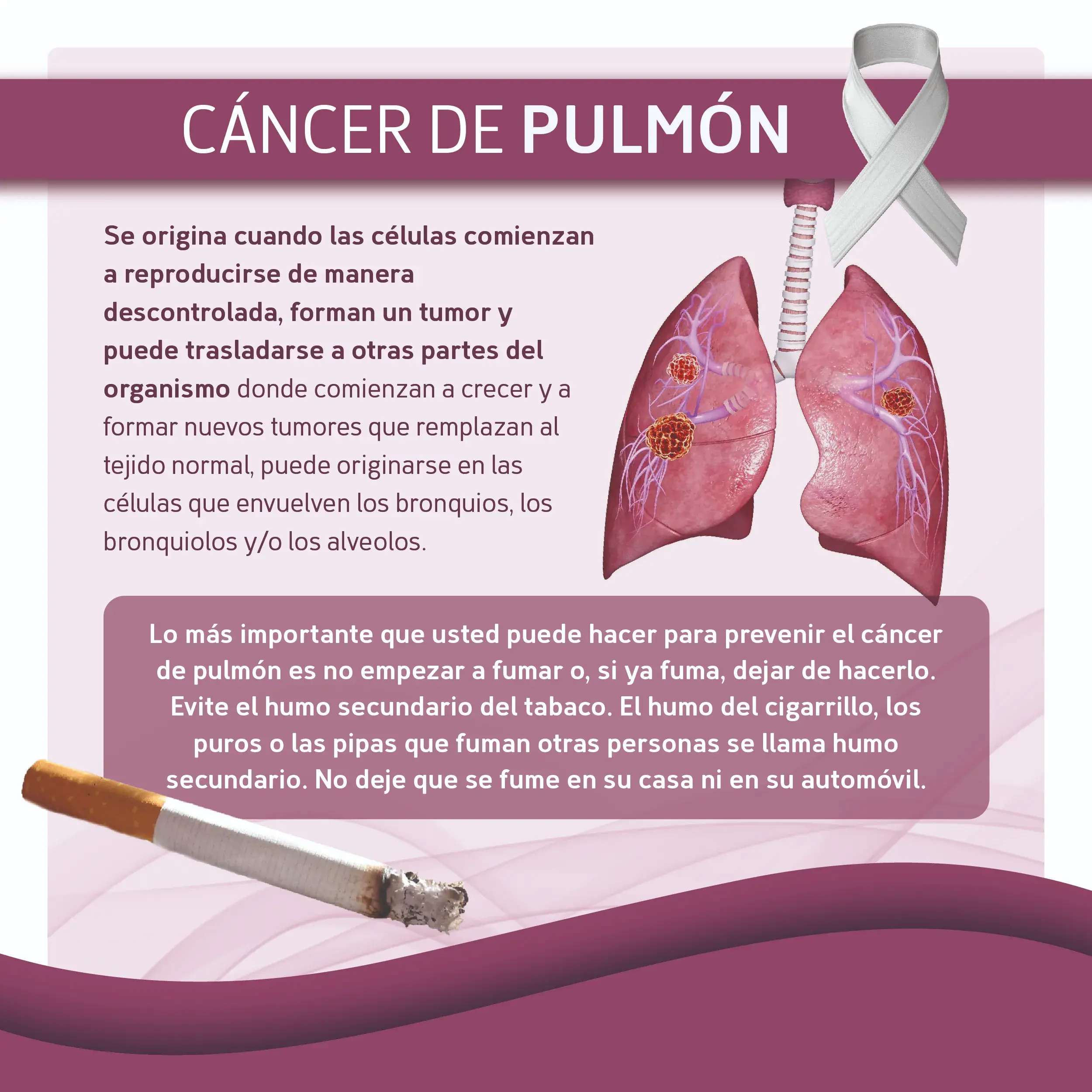 factor de riesgo cáncer de pulmón Un factor de riesgo del cáncer de pulmón es ser fumador
