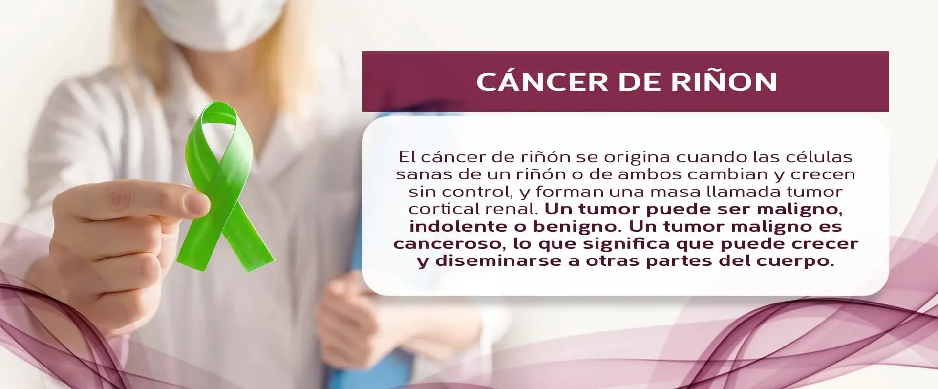 Tumor de riñón Tipos de tumores en el riñón (maligno, indolente, benigno).