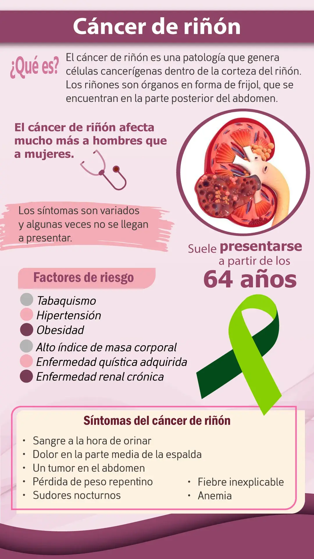 cáncer de riñón Qué es el cáncer de riñón, síntomas, factores de riesgo.