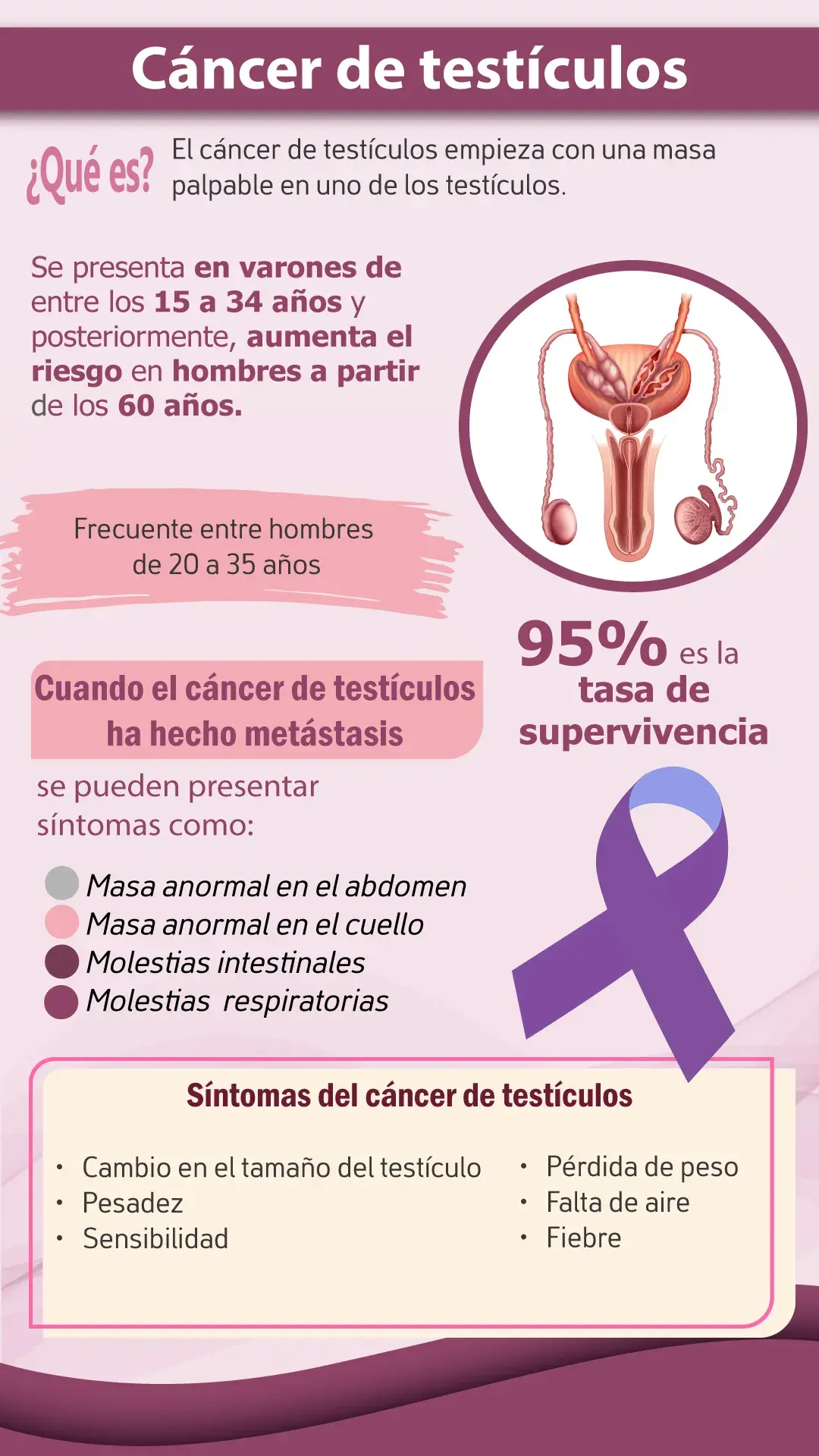 qué es el cáncer de testículos Qué es el cáncer de testículos (Síntomas, tasa de supervivencia, intervalo de edad)