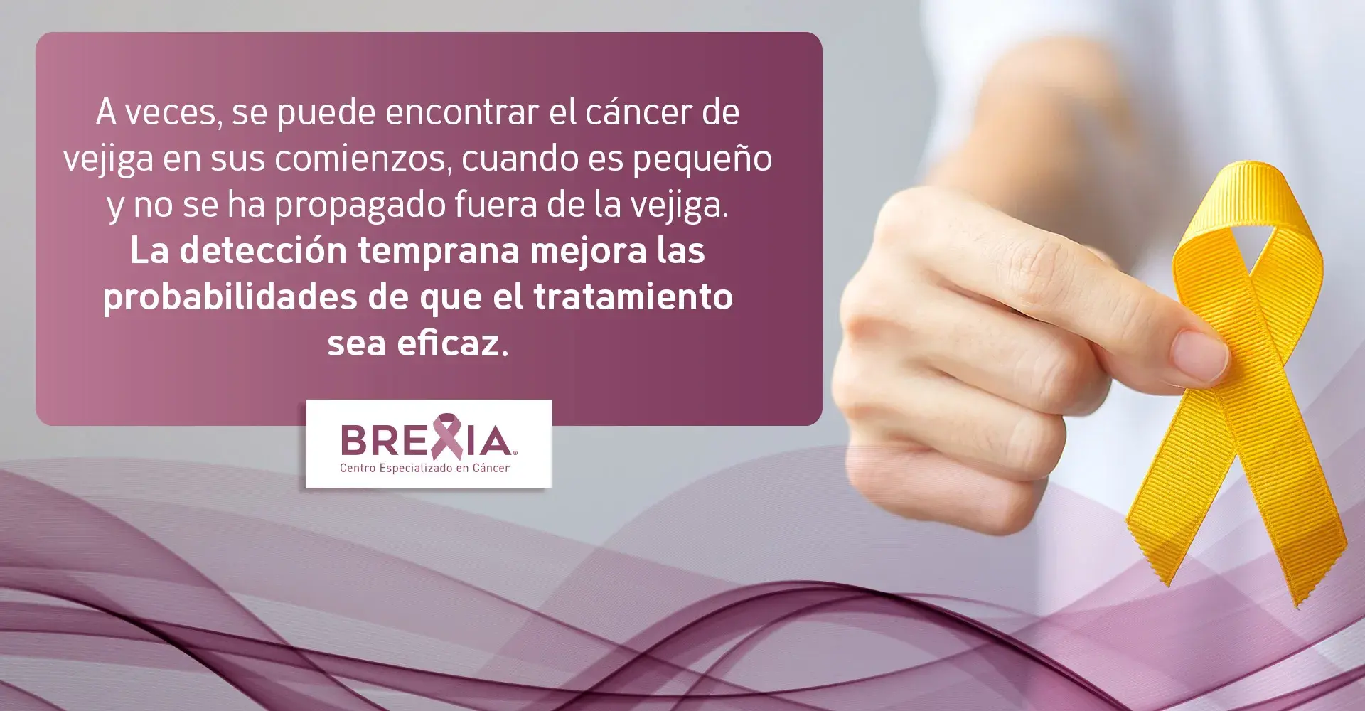 detección del cáncer de vejiga Cuando el cáncer de vejiga es pequeño y se detecta a tiempo hay variadas opciones de tratamiento.