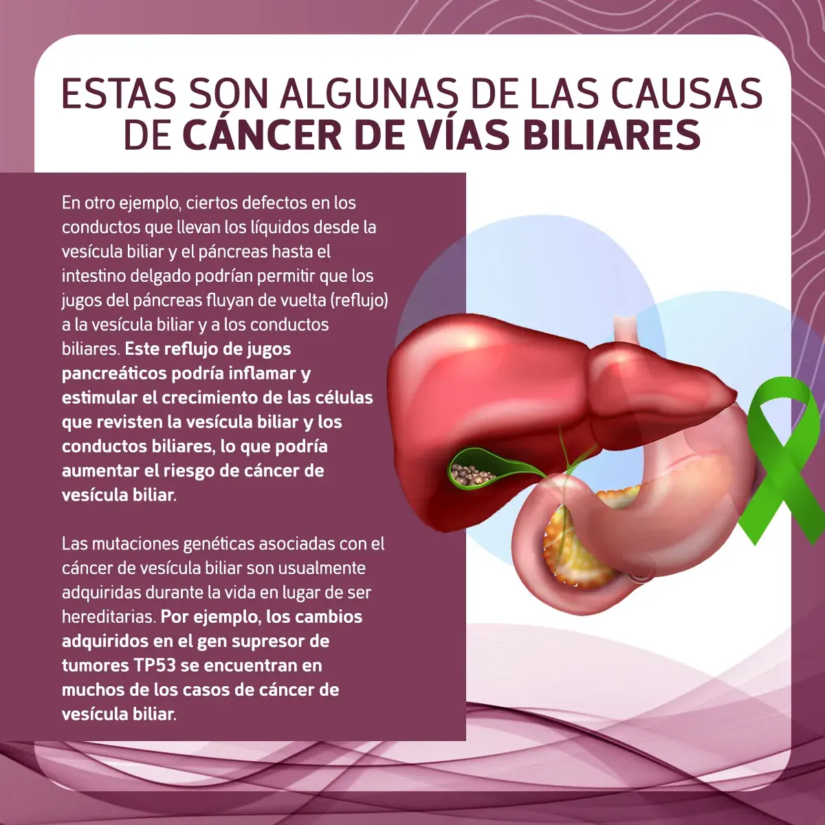 causas del cáncer de vías biliares Posibles causas del cáncer de vías biliares (defectos en los conductos, mutaciones genéticas)